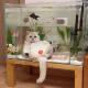 Cat House Fish Tank Tiktok Popular Cat Fish Tank Gold Crystal Five-Line Ultra-Clear Glass Available