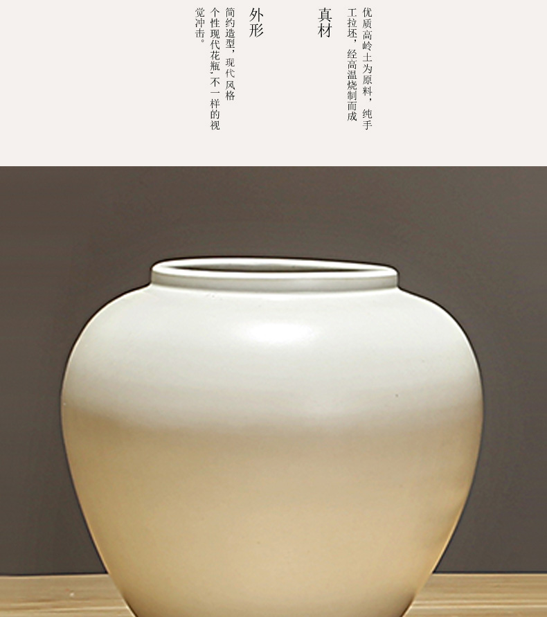 Chinese jingdezhen ceramics vase European sitting room is I and contracted home furnishing articles dry flower arranging flowers adornment