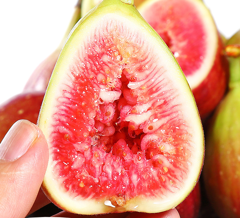 Fruit Fruit_07.jpg