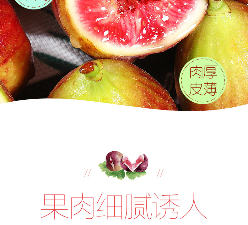 Фрукты Fig_04.jpg