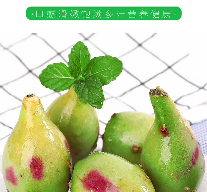 Fairy Palm Fruit_05.jpg