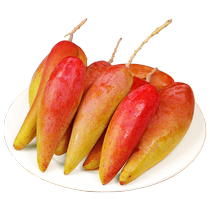Hainan pepper mango 10 pounds of tropical fruit freshly picked in season sweet mango red golden jade green royal mango ripe on the tree