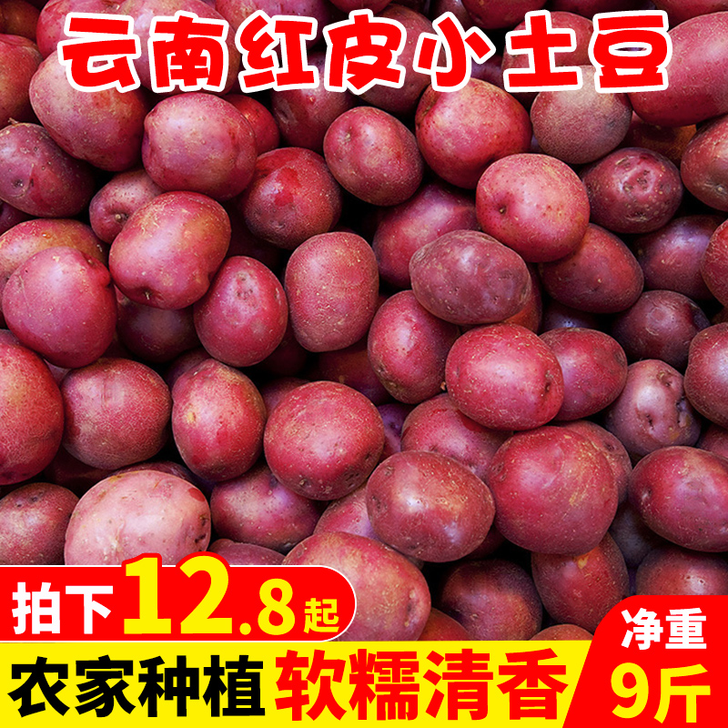 Fresh Potatoes Yunnan Red Peel Small Potatoes 9 Catty Vegetables Farmhouse Self-Planted Yellow Cardigan Potato 10