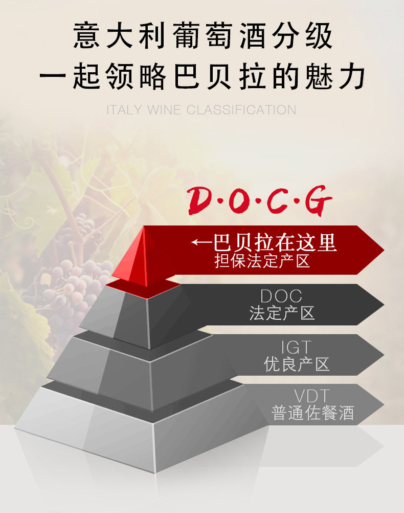 意大利进口 LEROVOLE DOCG级 巴贝拉干红 750ml*2支 礼盒装 图6
