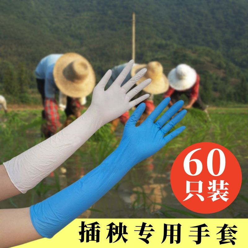 Farmers Use Special Summer Work Protective Gloves for Planting Rice in Paddy Fields, Extra Long and Thick Nitrile Rubber Disposable Gloves