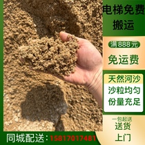 Construction sand yellow sand river sand fine medium coarse sand bagged yellow sand decoration sand Guangzhou delivery