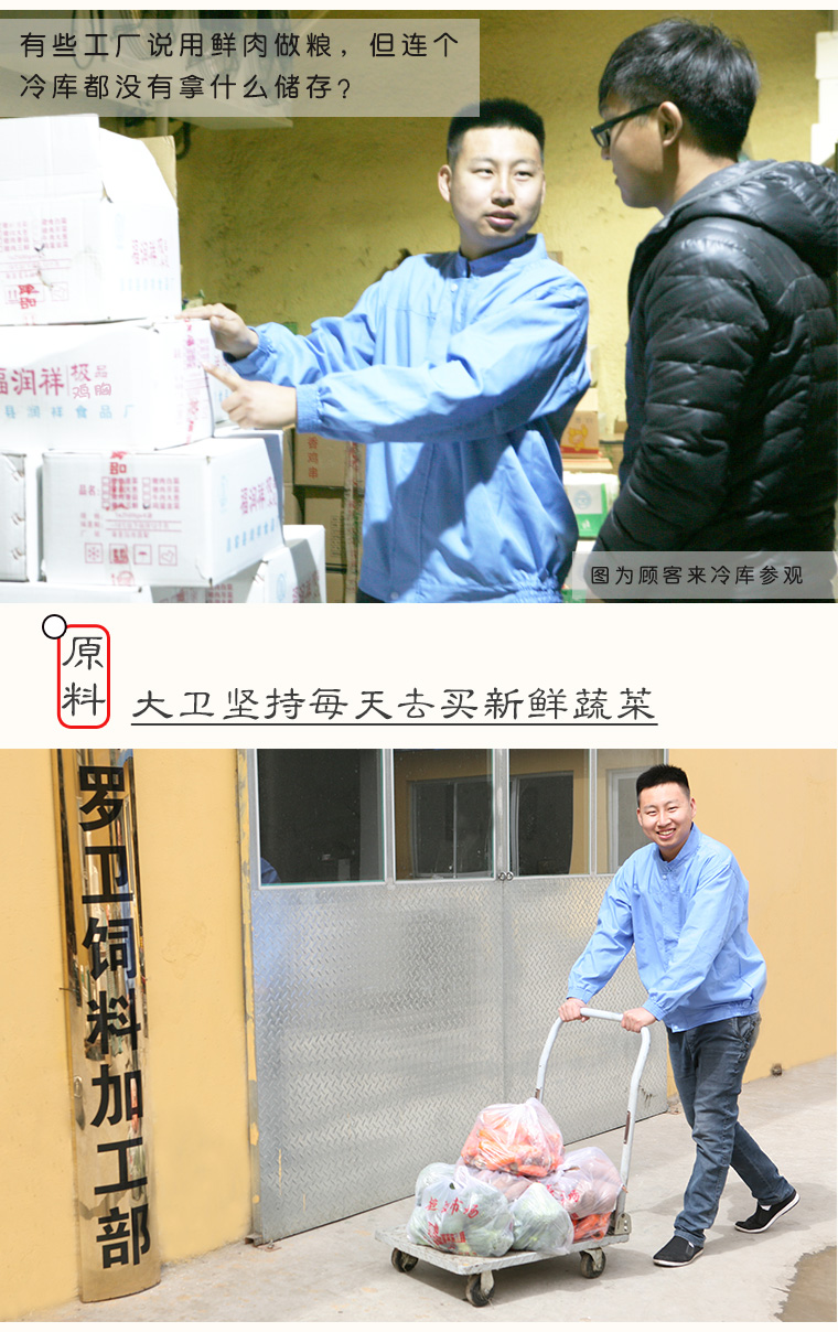 Giáo sư chó 7,5 kg thức ăn tự chế chó thức ăn cho chó trưởng thành chó con bán ướt thức ăn cho chó Labrador Jin Mao Satsuma - Gói Singular hạt anf