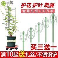 亲居 Цветочный дом Ренци Цветочный приют из розового цветочного бассейна комната для опоры цветочных стержней