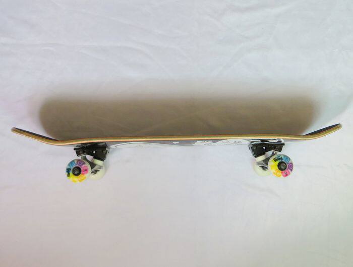 Skateboard pour homme femme BOILING   - Ref 2600732 Image 23