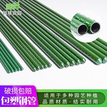 Steel pipe bracket instead of bamboo pole gardening pillar plastic climbing crab grape fixed flower greenhouse skeleton planting vegetable pole