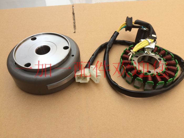 Jinan Light Horse Tibetan Mastiff QM200GYGS200 Rotor Combination Magneto Stator Coil Combination (K166D)