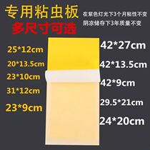 Sticky trap type fly killer special sticky fly paper stick insect board Fly killer paper mosquito sticker fly cardboard mosquito killer lamp sticky fly insect