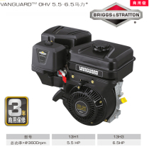 Original American Bailitong Gasoline Engine 6 5 horsepower 208CC architectural garden mechanical power