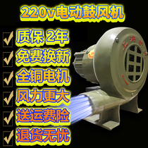 Blower 220V powerful small household fire burning stove blowing barbecue electric wood stove high power stove