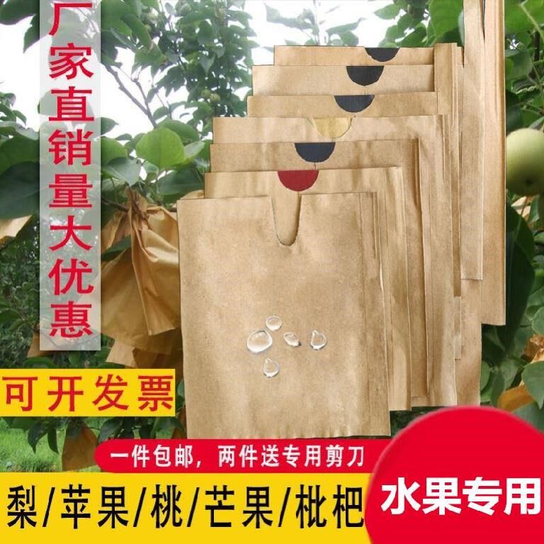 Fruit bag crystal pear bagging apricot shading pear special large cherry paper bag loquat foam bag