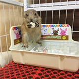 Туалет маленького питомца. Одиночный винт фиксированный против подъема тоторотальной сосновой крыси