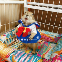 (Rat and you) pet black-tailed marmot clothes selling cute photos small pet clothing kitten puppies clothes