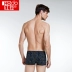 Đậu đỏ nam cotton cotton boxer quần short đầu lỏng in kích thước lớn đồ lót hộp quà tặng