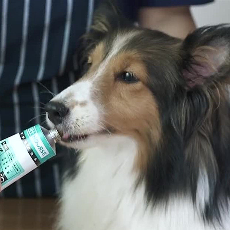 Wessee Pet Nutrient Cream 120g Kitty Dog Dog Nutrition Supplement Appetite Regulation 2 