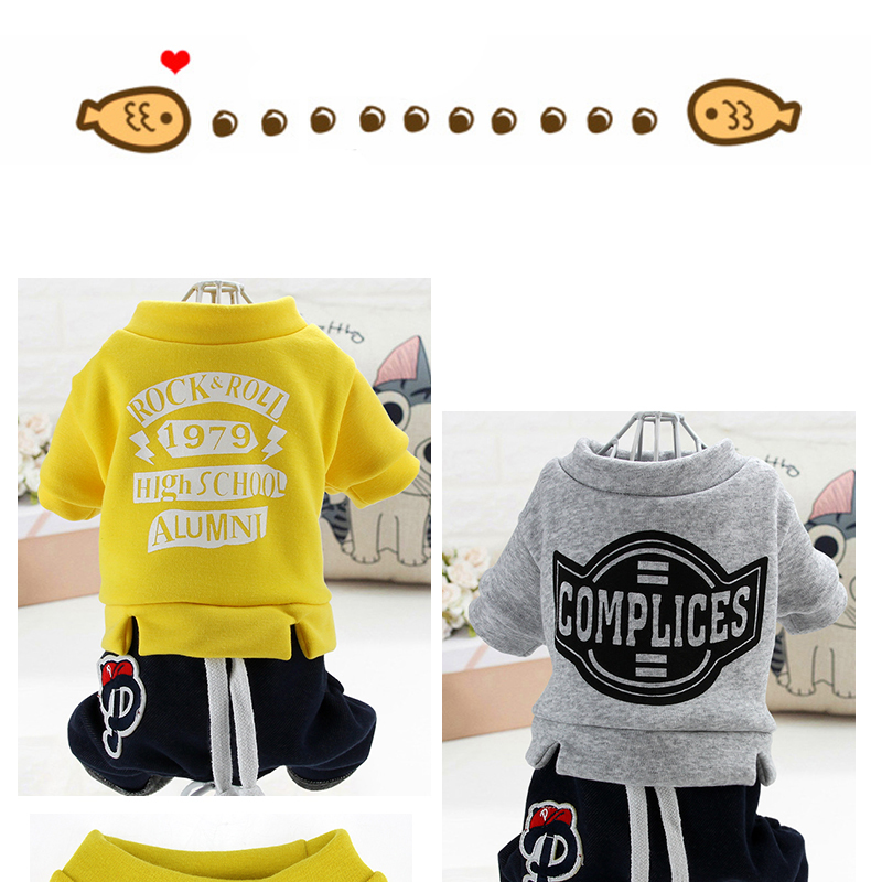 Quần áo chó mới mùa thu và mùa đông thú cưng nhung san hô dày quần áo bốn chân Teddy VIP chó nhỏ và vừa - Quần áo & phụ kiện thú cưng áo vest cho mèo
