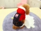 Quần áo chó mới mùa thu và mùa đông thú cưng nhung san hô dày quần áo bốn chân Teddy VIP chó nhỏ và vừa - Quần áo & phụ kiện thú cưng