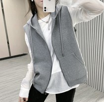 Space Cotton Hooded Vest Womens Sleeveless 2022 Fall Winter Casual Loose Net Red Layered Vest Vest Jacket Women