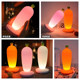 Creative table lamp bedroom bedside table Internet celebrity night light charging touch sleep atmosphere lamp carrot beautiful night light