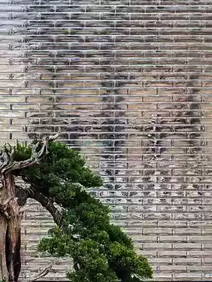 Customized hot sale solid glass brick partition half wall transparent frosted color background transparent bar outdoor landscape