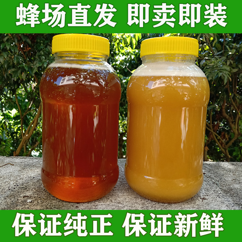 1000g real honey pure farmhouse natural self-produced authentic honeycomb raw honey Baihuatufeng honey crystal edible