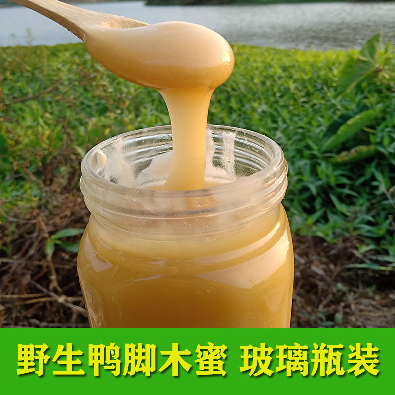 (2 pounds of winter honey wild duck foot wood) Earth honey pure and natural Conghua farmers produce wild deep mountain raw honey