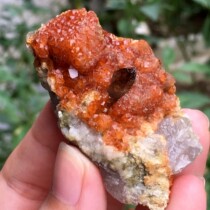 Fujian Yunxiao garnet tea crystal symbiosis color luster is very good Natural mineral crystal address teaching science