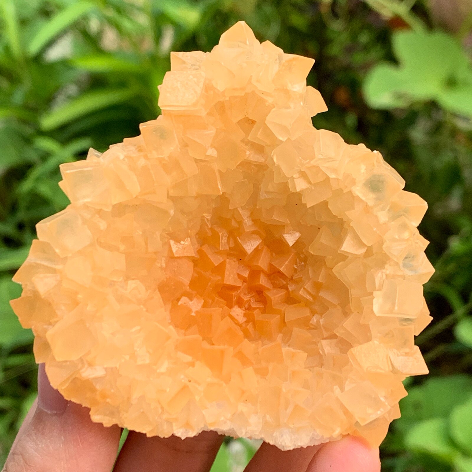 Guangxi Sunflower glass floating crystalline natural mineral crystal specimen collection of teaching science