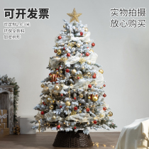 Dongqing foreign trade Pe Christmas tree ornaments floor-standing flocking luxury home PVC encryption package Christmas diy