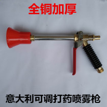 Italian pesticide water gun spray machine plunger pump fruit tree garden high pressure agricultural ceramic spray gun nozzle
