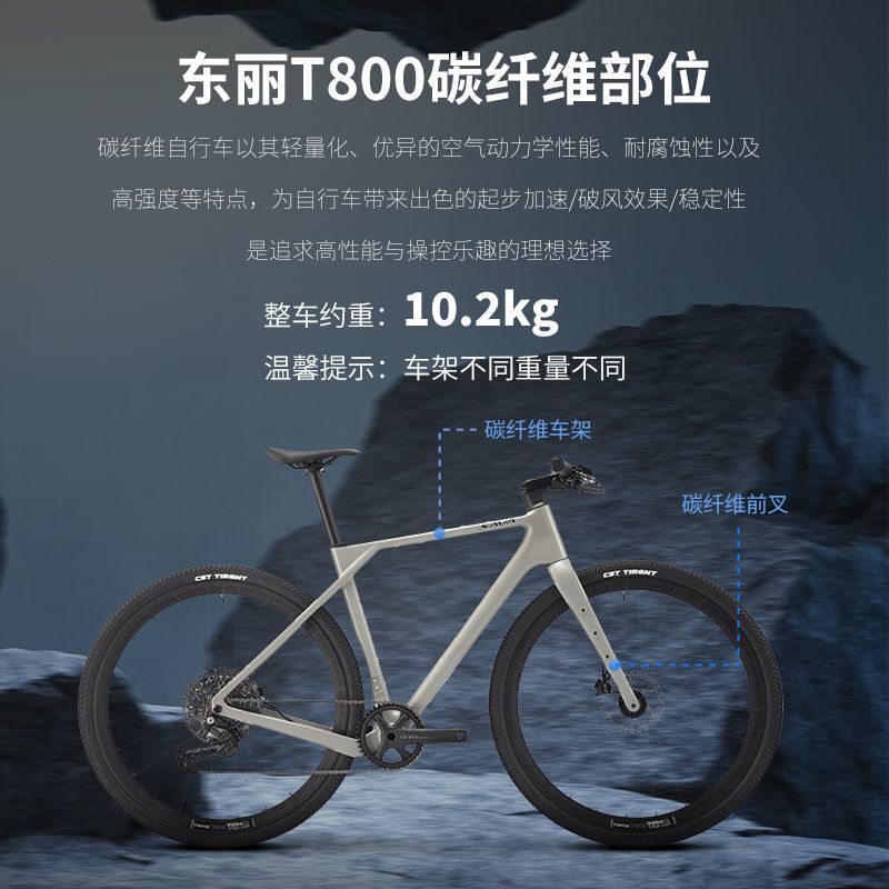 Sava Carbon Fiber Flat Handlebar Road Bike All-Terrain Gravel Bike Cross-Country Gravel Bike Sf6