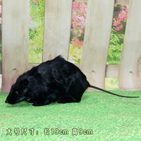 Большой, 19см, 9см