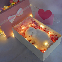 Will call the kitten model plush toy simulation cat doll doll cloth pad fake cat to send girlfriend birthday gift