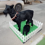 Модель овцы, имитация образца козла, большая коза, поддельная модель овцы, украшения, ремесла, реквизит-талисман, Sanyang Kaitai