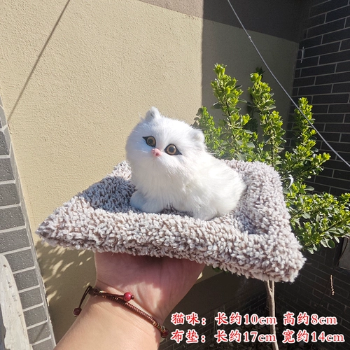 Плюшевая игрушка, милая кукла, котенок, кот, подарок на день рождения