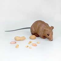 Коричневая мышь в коже