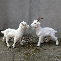 Мао Мао стоит пару ягнят, чтобы отправить маленькую овцу