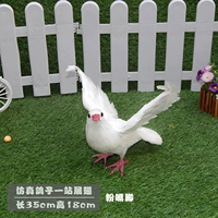 Стоящие голуби с крылаты