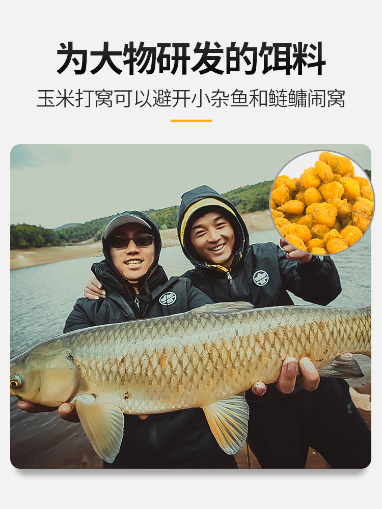 21-Fermented bait, grains, old altar, miscellaneous grains, carp bait, wheat, corn grains, wild fishing grass, fishing bait