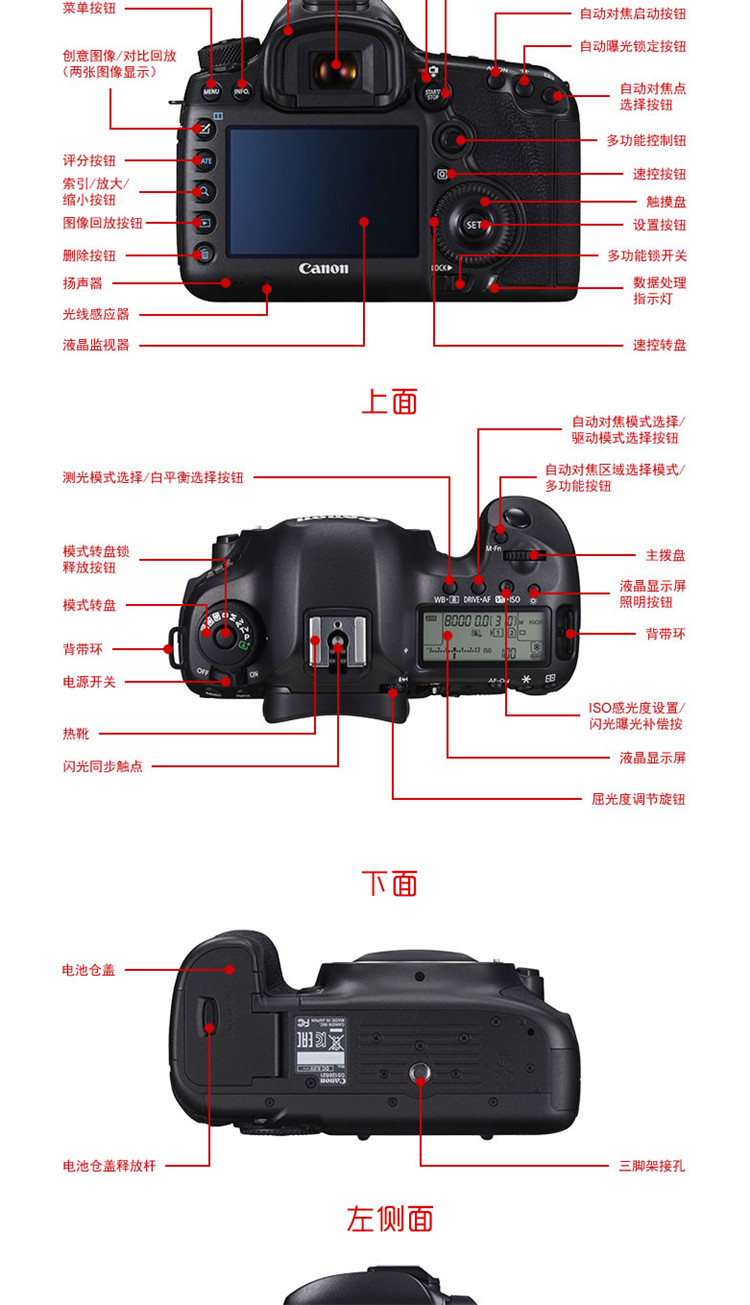 Canon Canon 5DsR kit 24-70mm F2.8L camera SLR Canon 1DX2 5D4 - SLR kỹ thuật số chuyên nghiệp máy ảnh samsung