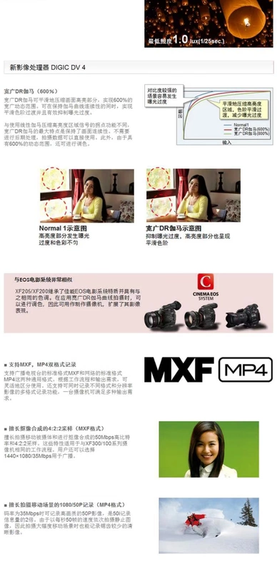 Canon / Canon XF200 chuyên nghiệp HD máy quay Canon C100 camera xf200 - Máy quay video kỹ thuật số