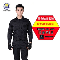 Демисезонный комплект, ремень, шапка