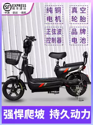 Immediately electric car 48V women's small car pedal 2 people female two-wheeled adult electric battery car battery car