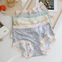Daisy girl unbound and uncomfortable flower Model large size soft waist bag hips graphene underwear
