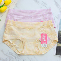 New coloured fields 36109 minimalist frescoed striped bicoloured yarns Modale breathable mid-waist womens underwear 36111