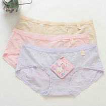 Color field 36086 succinct comfort Modale bicolor yarn elastic low waist womens underwear 31126 High waist size